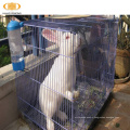 Hot sale welded wire mesh rabbit cage